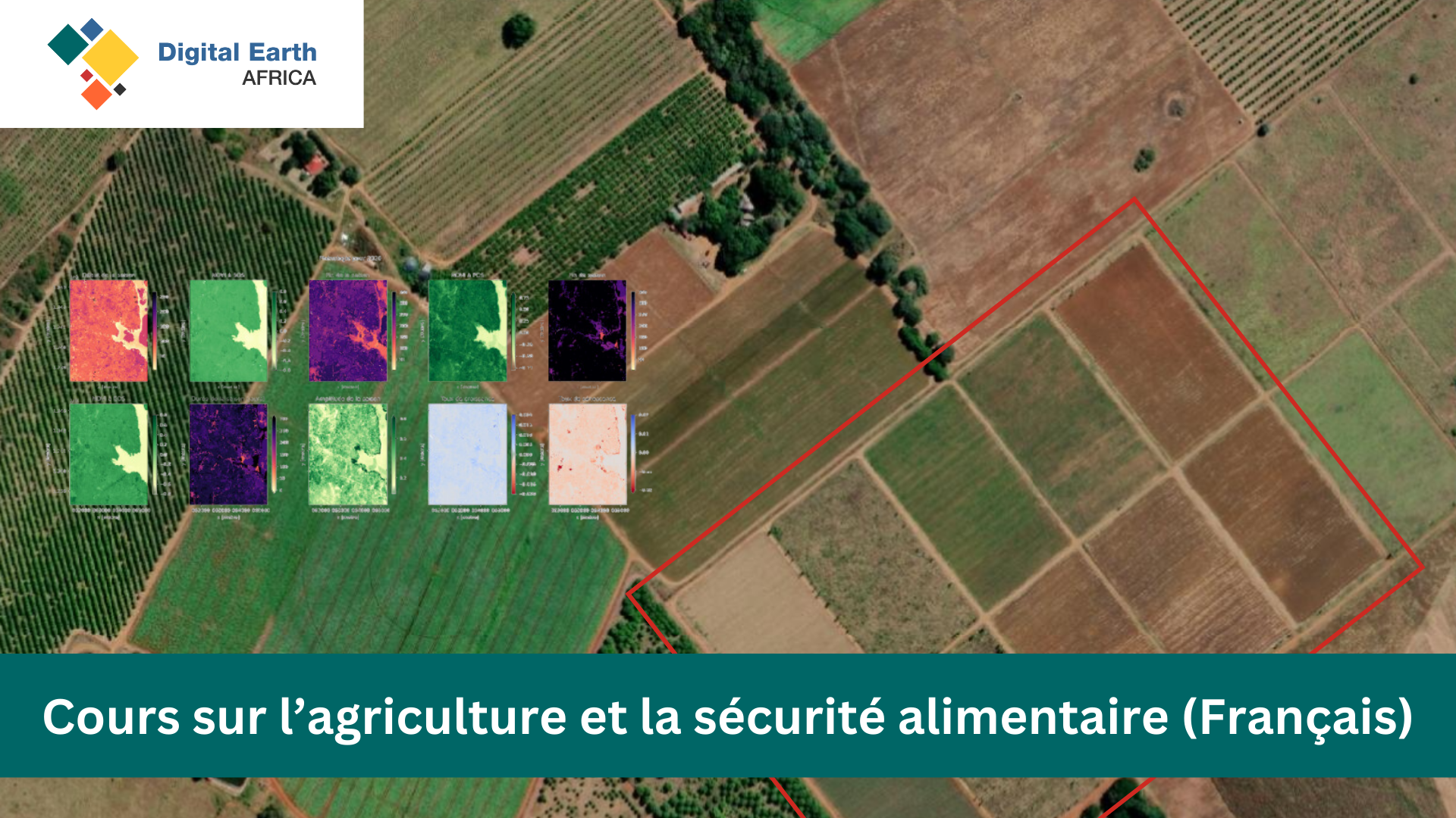 Digital Earth Afrique Cours sur l’agriculture et la sécurité alimentaire (Français) DEA_202_FN